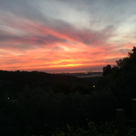 Bed and Breakfast Above The Sea Ein Hod Exterior foto