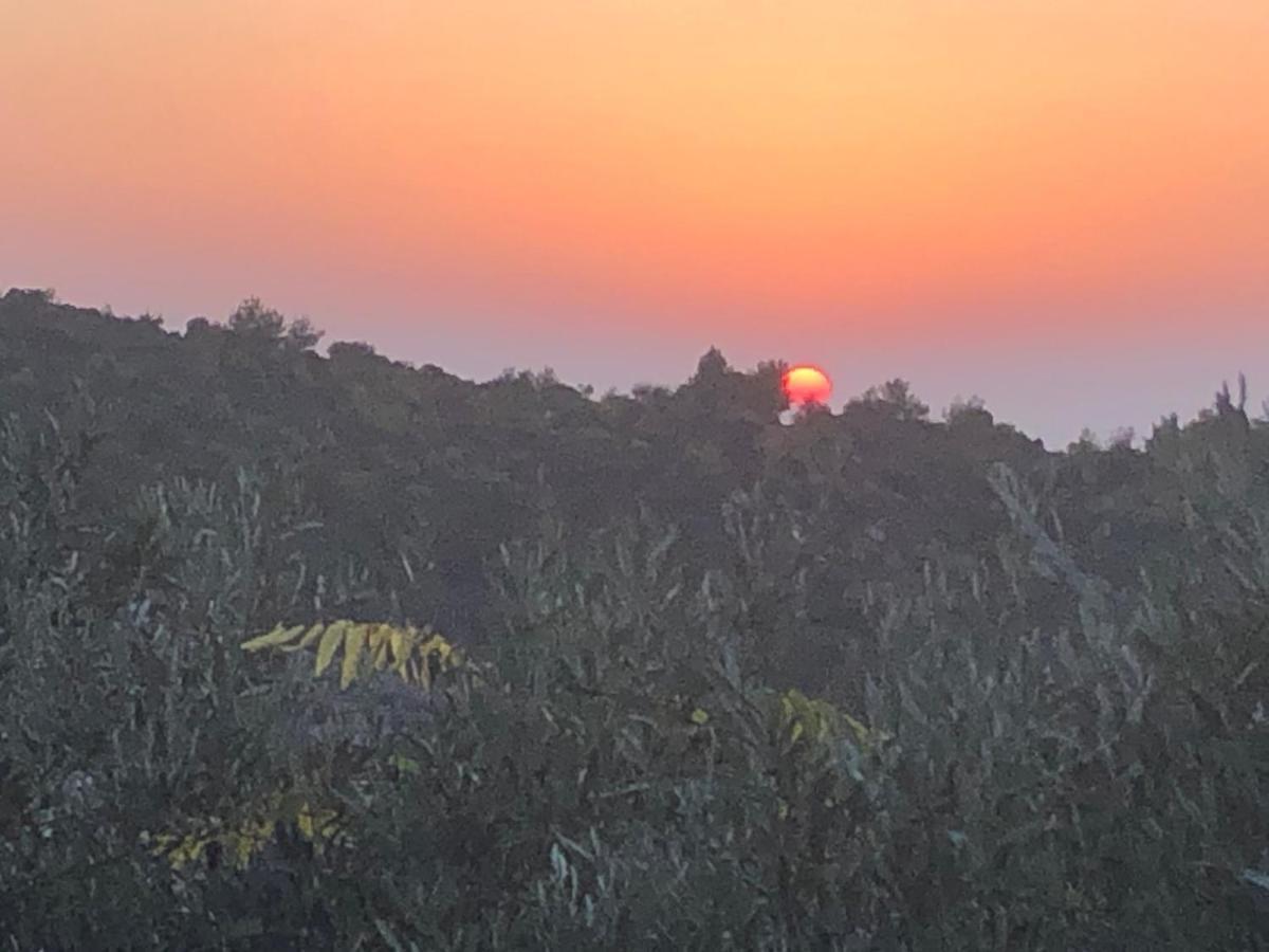 Bed and Breakfast Above The Sea Ein Hod Exterior foto