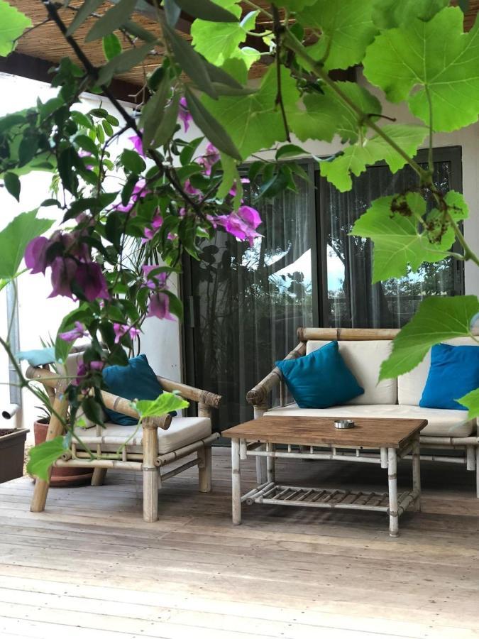 Villa Above The Sea Ein Hod Exterior foto