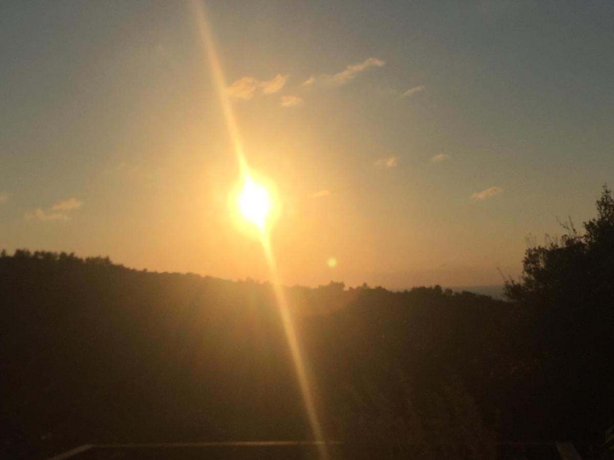 Bed and Breakfast Above The Sea Ein Hod Exterior foto