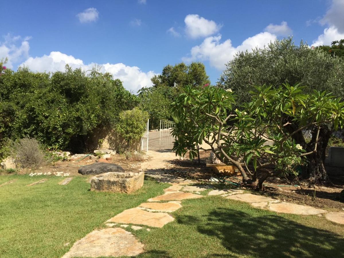 Villa Above The Sea Ein Hod Exterior foto