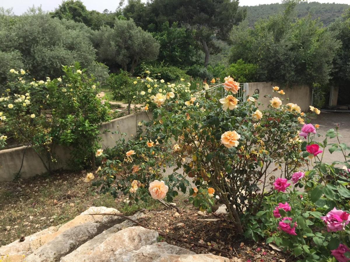 Bed and Breakfast Above The Sea Ein Hod Exterior foto