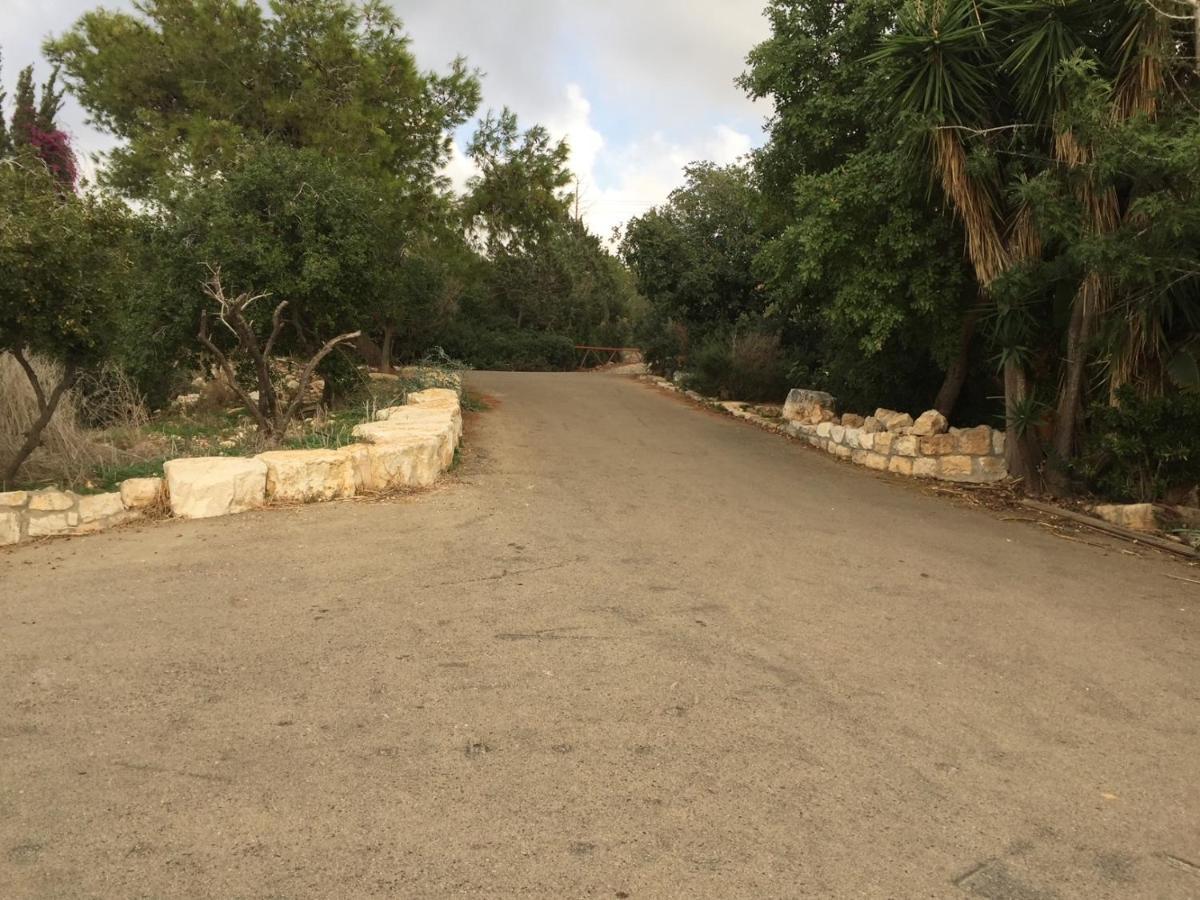 Bed and Breakfast Above The Sea Ein Hod Exterior foto