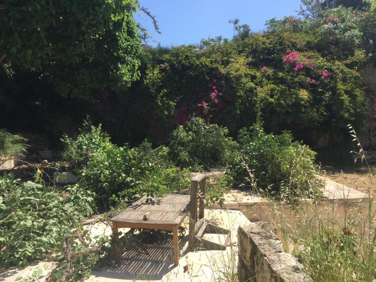 Bed and Breakfast Above The Sea Ein Hod Exterior foto