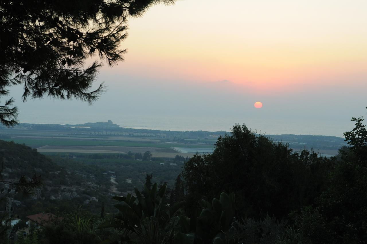 Bed and Breakfast Above The Sea Ein Hod Exterior foto