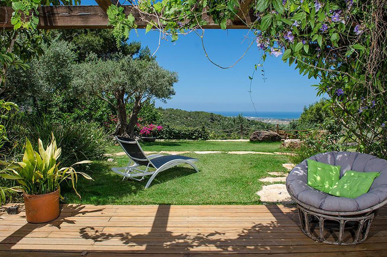 Bed and Breakfast Above The Sea Ein Hod Exterior foto