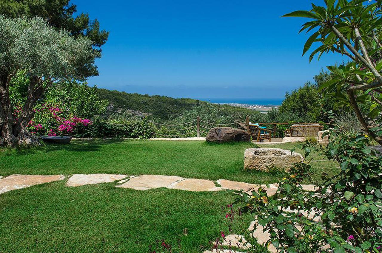 Bed and Breakfast Above The Sea Ein Hod Exterior foto