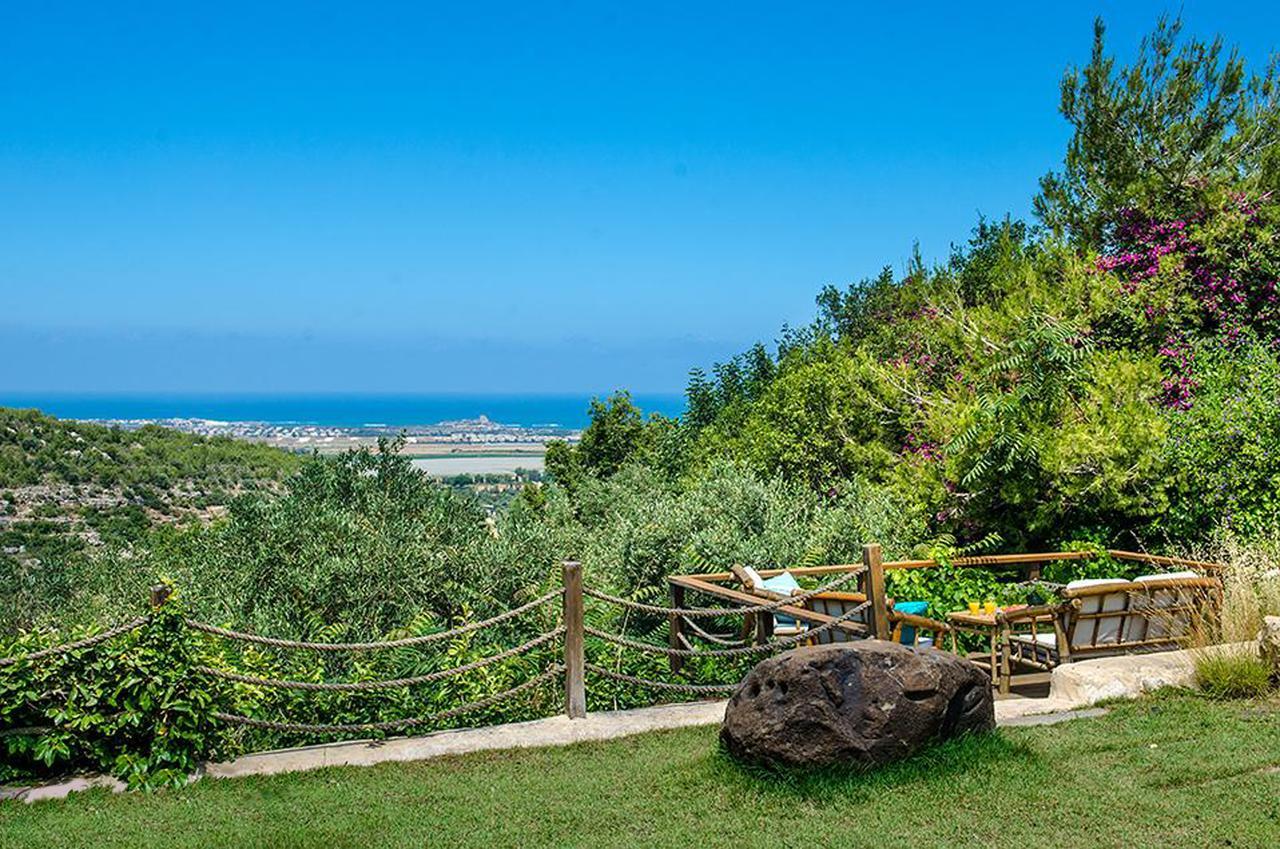 Bed and Breakfast Above The Sea Ein Hod Exterior foto