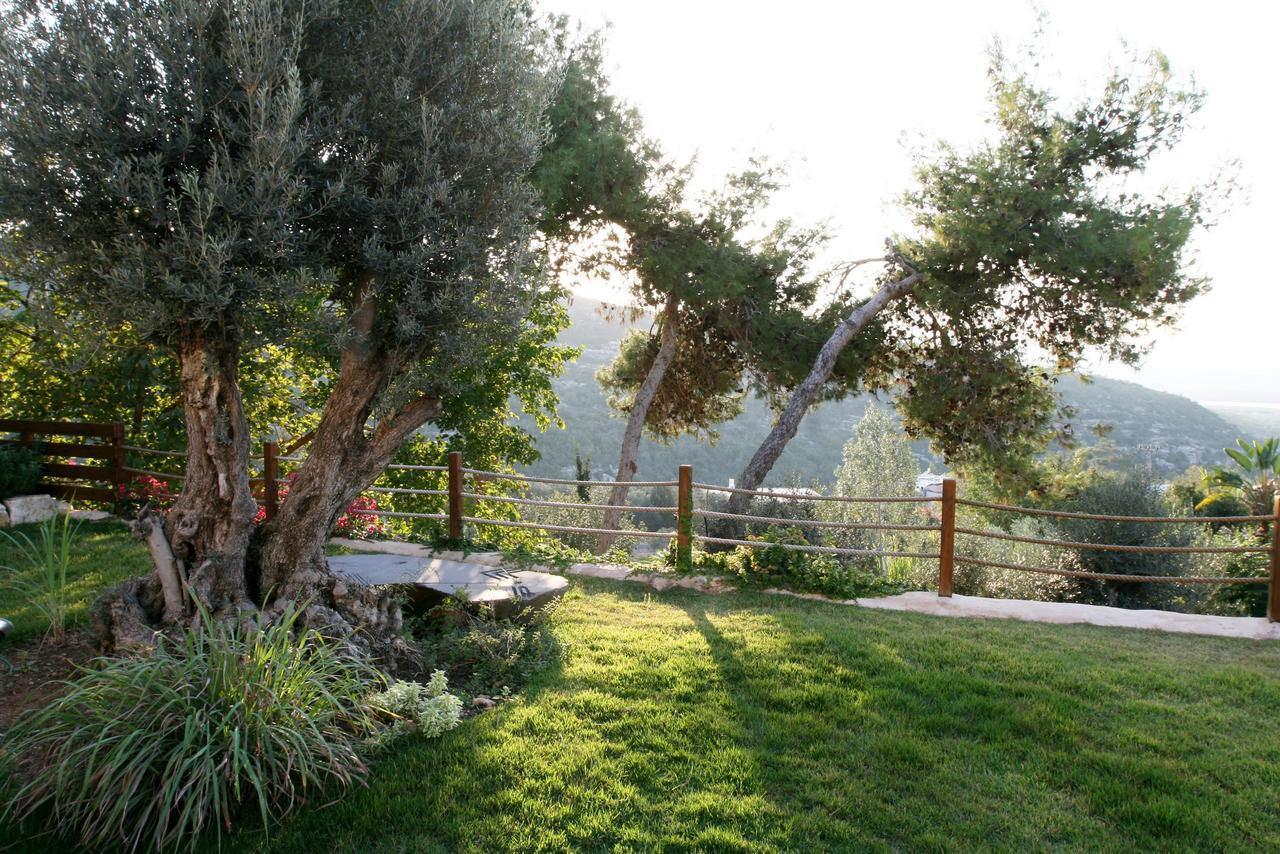 Bed and Breakfast Above The Sea Ein Hod Exterior foto