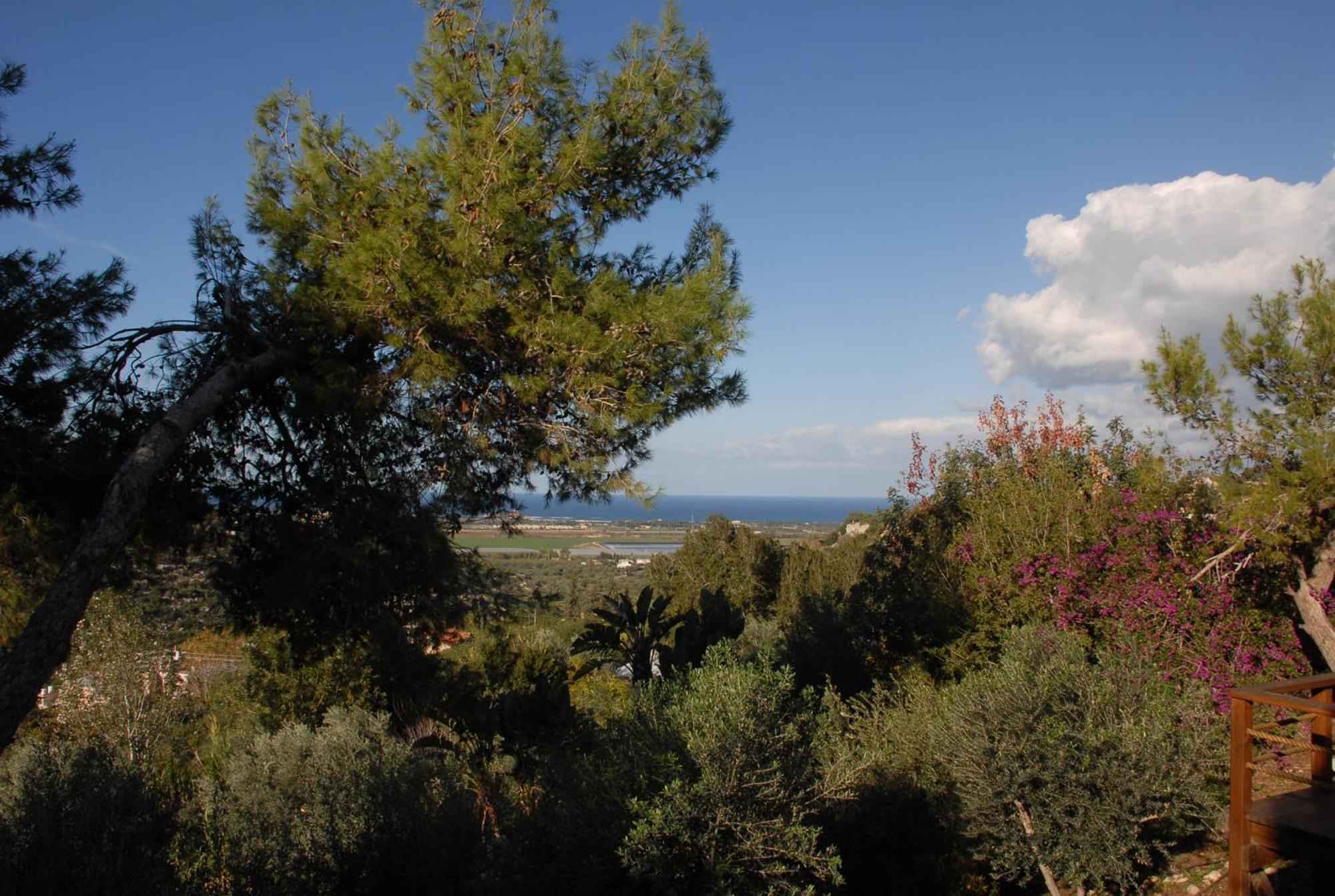 Bed and Breakfast Above The Sea Ein Hod Exterior foto