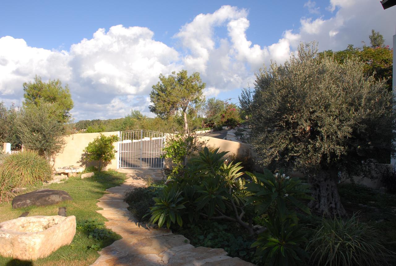 Bed and Breakfast Above The Sea Ein Hod Exterior foto