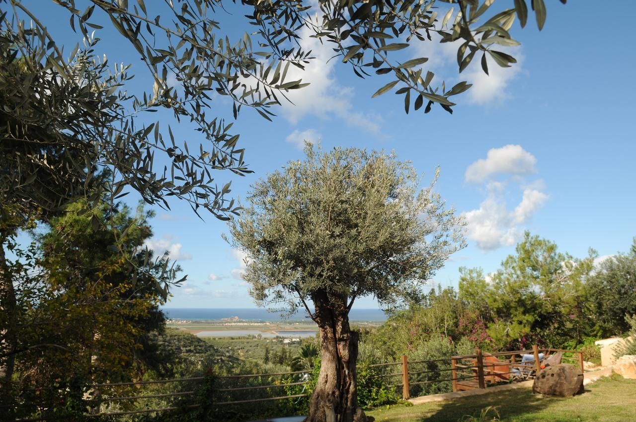 Bed and Breakfast Above The Sea Ein Hod Exterior foto