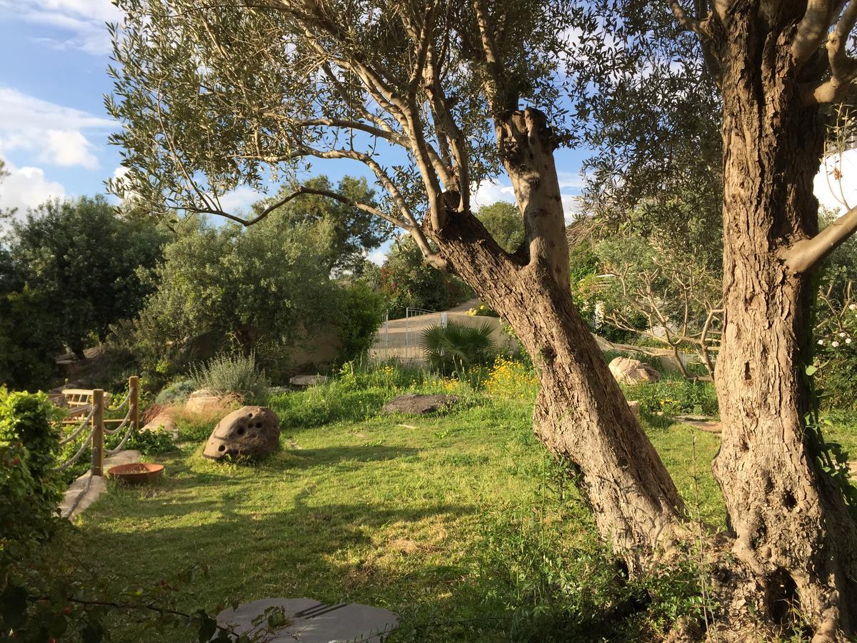 Bed and Breakfast Above The Sea Ein Hod Exterior foto