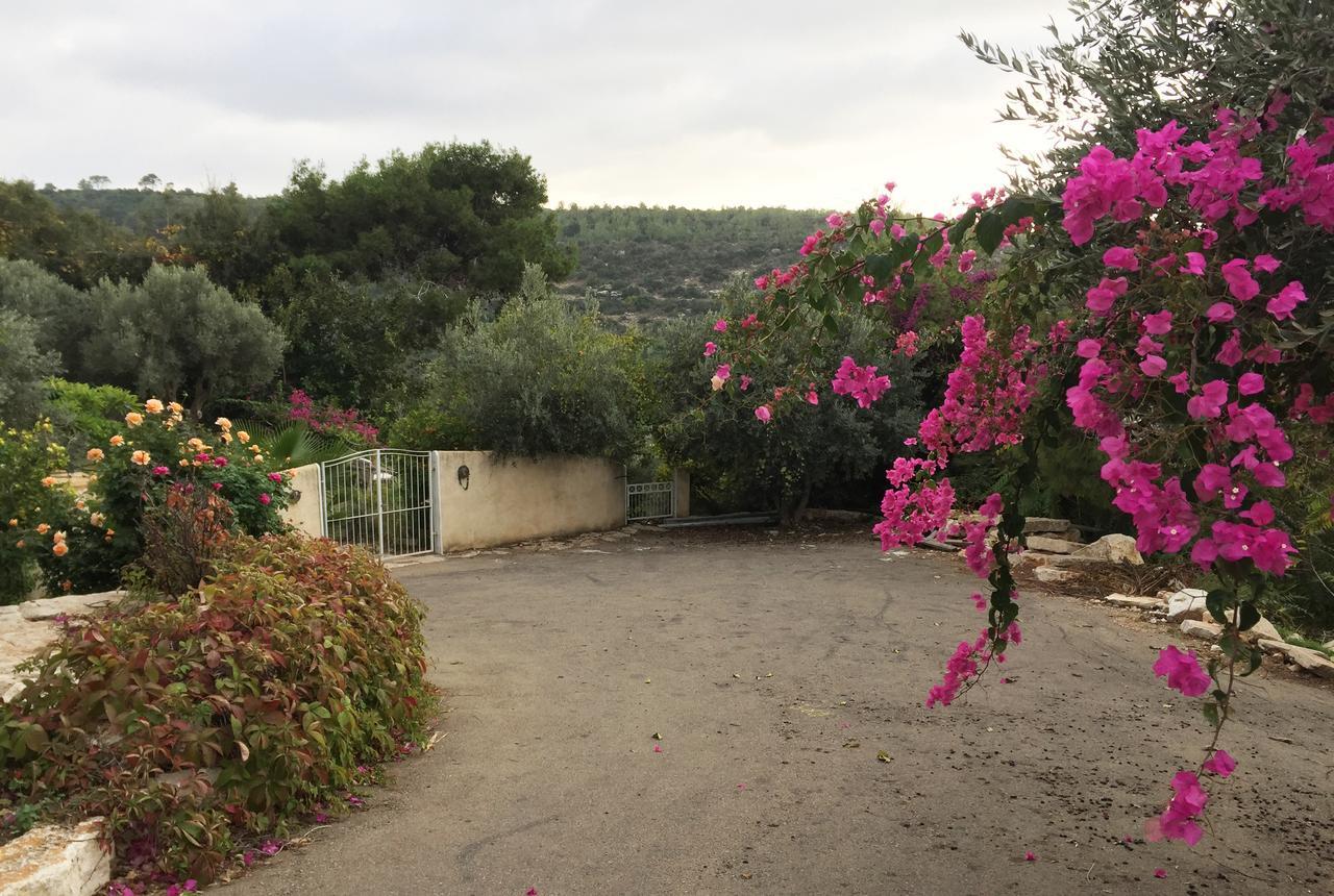 Bed and Breakfast Above The Sea Ein Hod Exterior foto